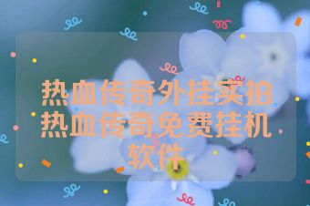 热血传奇外挂实拍热血传奇免费挂机软件