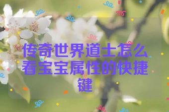 传奇世界道士怎么看宝宝属性的快捷键