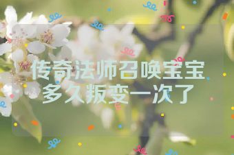 传奇法师召唤宝宝多久叛变一次了