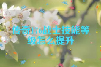 传奇176战士技能等级怎么提升