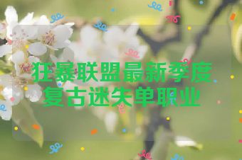 狂暴联盟最新季度复古迷失单职业