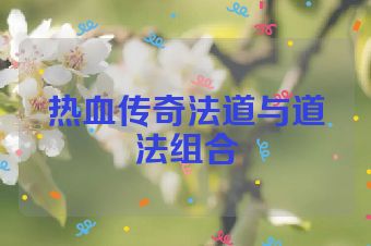 热血传奇法道与道法组合