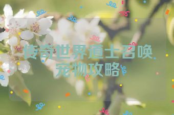 传奇世界道士召唤宠物攻略