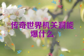传奇世界机关洞能爆什么