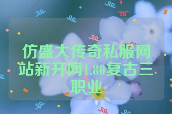 仿盛大传奇私服网站新开网1.80复古三职业