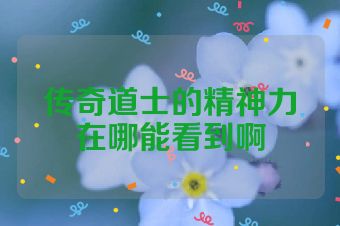 传奇道士的精神力在哪能看到啊