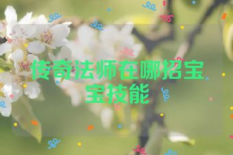 传奇法师在哪招宝宝技能