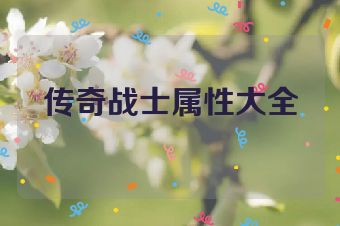 传奇战士属性大全