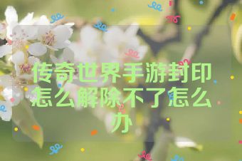 传奇世界手游封印怎么解除不了怎么办