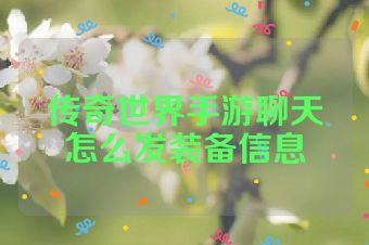 传奇世界手游聊天怎么发装备信息