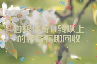白蛇传奇11转以上的装备在哪回收