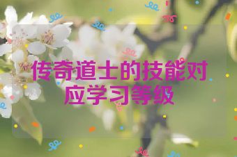 传奇道士的技能对应学习等级