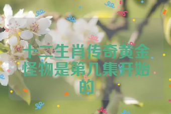 十二生肖传奇黄金怪物是第几集开始的