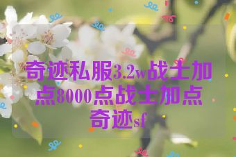 奇迹私服3.2w战士加点8000点战士加点奇迹sf
