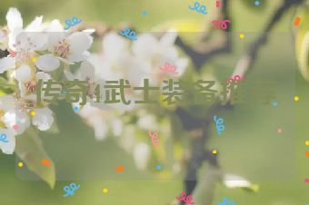 传奇4武士装备推荐