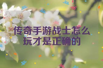 传奇手游战士怎么玩才是正确的