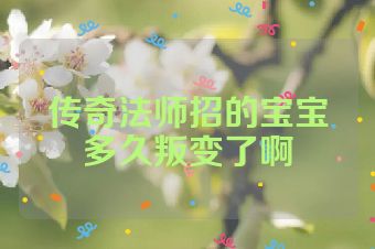 传奇法师招的宝宝多久叛变了啊