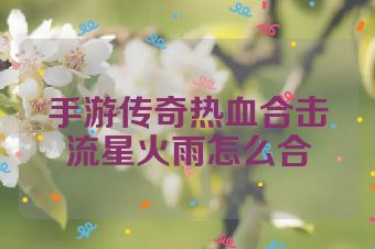 手游传奇热血合击流星火雨怎么合