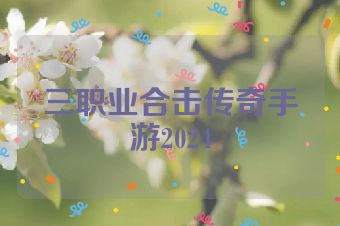 三职业合击传奇手游2024