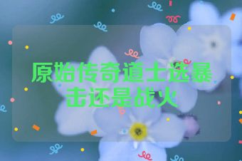 原始传奇道士选暴击还是战火