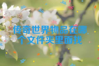 传奇世界物品在哪个文件夹里面找
