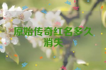 原始传奇红名多久消失