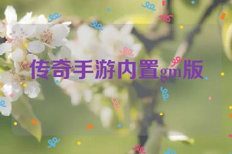 传奇手游内置gm版