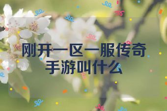 刚开一区一服传奇手游叫什么