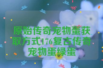 原始传奇宠物蛋获取方式176复古传奇宠物蛋绿蛋