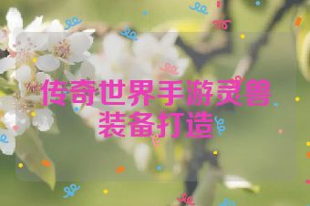 传奇世界手游灵兽装备打造
