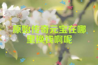 原始传奇元宝在哪里换钱啊呢