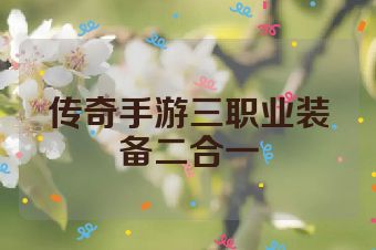 传奇手游三职业装备二合一