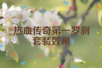 热血传奇第一罗刹套装效果