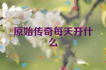 原始传奇每天开什么