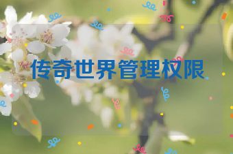 传奇世界管理权限