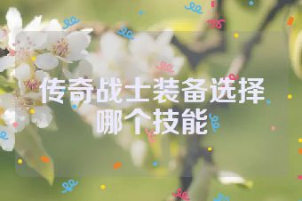 传奇战士装备选择哪个技能