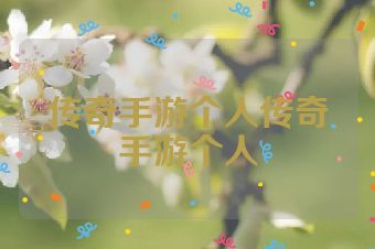 传奇手游个人传奇手游个人