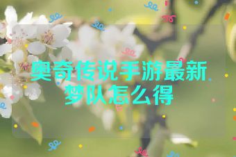 奥奇传说手游最新梦队怎么得