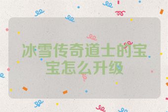 冰雪传奇道士的宝宝怎么升级