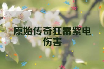 原始传奇狂雷紫电伤害