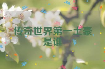 传奇世界第一土豪是谁