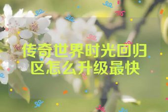传奇世界时光回归区怎么升级最快