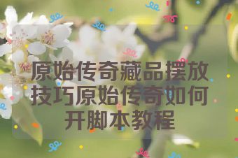 原始传奇藏品摆放技巧原始传奇如何开脚本教程