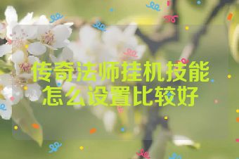 传奇法师挂机技能怎么设置比较好