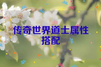 传奇世界道士属性搭配