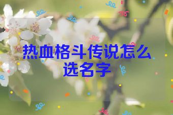 热血格斗传说怎么选名字