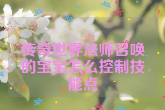 传奇世界法师召唤的宝宝怎么控制技能点