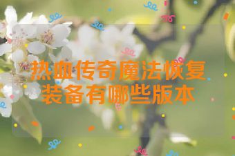热血传奇魔法恢复装备有哪些版本