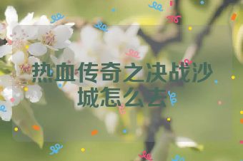 热血传奇之决战沙城怎么去