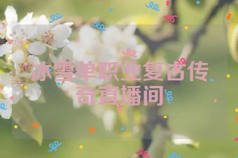 冰雪单职业复古传奇直播间